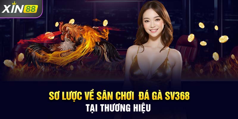 Sơ lược về sân chơi  đá gà SV368 tại thương hiệu