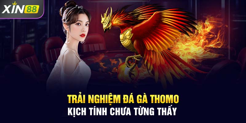 Trải Nghiệm Đá Gà Thomo Kịch Tính Chưa Từng Thấy