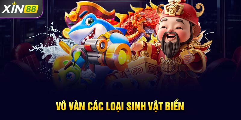 Vô vàn các loại sinh vật biển